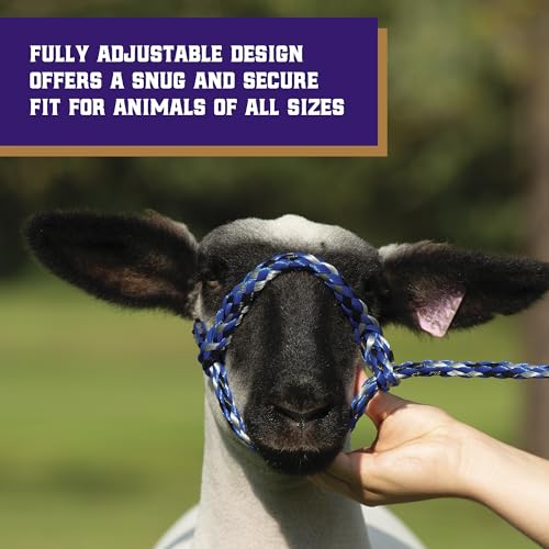 Weaver Livestock Poly Rope Sheep Halter, Modern Style Braid Sheep and Goat Rope Halter, Adjustable Lamb Halter Lead, Livestock Sheep Showing Supplies - color: Blue/Black/Gray