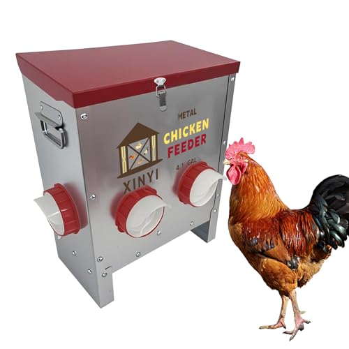 25lbs Metal Chicken Feeder, 4 Ports Galvanized Feeder, Goat Proof Auto Chicken Feeder, Weatherproof Chicken Food Dispenser System for Outdoor Coop,4.1 Gallon - size: 4 ports without legs