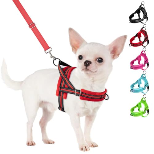 SlowTon No Pull Small Dog Harness and Leash Set with Front Clip | Soft Padded, Neck & Chest Adjustable, Lightweight, Anti-Twist, Puppy Vest Harness Pet Lead Combo for Small Medium Dog, R S - color: Red, size: X-Small