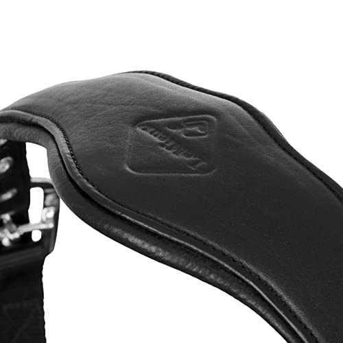 LeMieux Capella Headcollar for Horses - Leather/Nylon - Pressure Relief & Soft Touch - color: Black