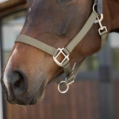 Equinavia Loki Nylon Horse Halter: Breakaway Leather Crown, Adjustable Fit - color: Light Olive, size: Pony