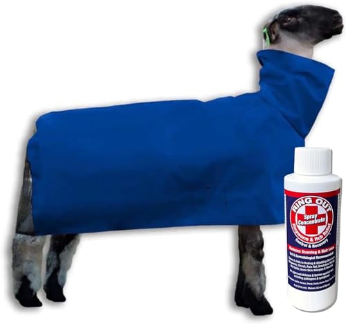 Show Pro Blue Nylon Sheep Blanket with Mesh Butt for Show Sheep & Lamb - Livestock Supplies for Sheep Cover. Free Ring Out Concentrate for Proven Ringworm Prevention Included (Medium) - size: Medium