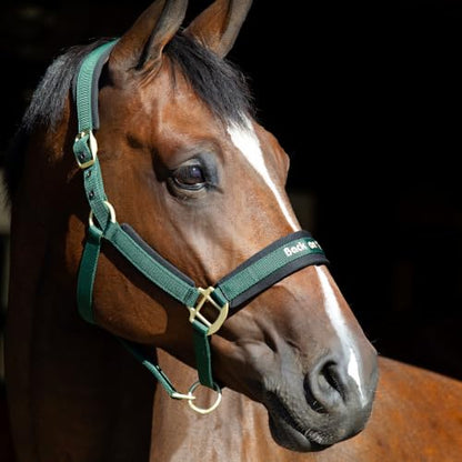 BACK ON TRACK Werano Cob Halter - color: Green, size: Cob