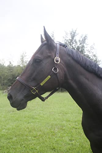 Tack Shack of Ocala Turnout Leather Halter for Horses with Customized Engraved Name Plate | Brown Leather with Solid Brass Hardware | Fixed Chin, Double Buckle Crown - size: Yearling/Large Pony
