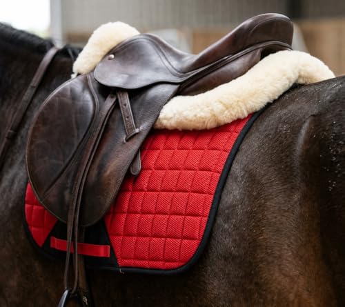 CHALLENGER Horse English Quilted Dressage Square Contoured Lightweight Trail Saddle Pad 72TS30 - color: Red, size: 25" Spine x 22" Drop