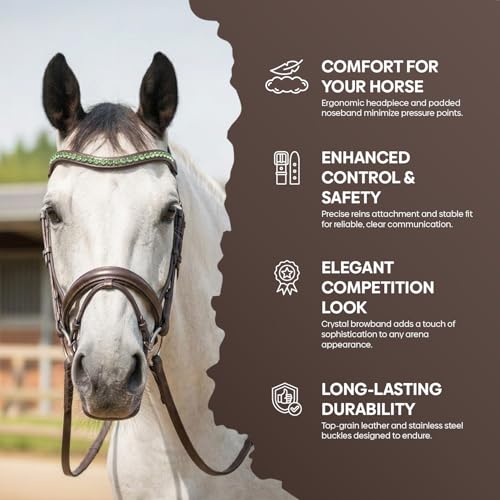 Equine Care English Horse Bridle with Reins, Padded, 6 Browband Styles - color: Havana Brown with Green Crystal