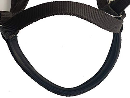 Majestic Ally Nylon Padded Equestrian Browband Headstall, Reins & BreastCollar Set for Horse- Full - color: Black