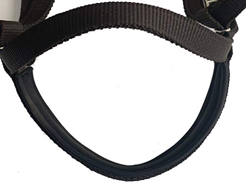 Majestic Ally Nylon Padded Equestrian Browband Headstall, Reins & BreastCollar Set for Horse- Full - color: Black