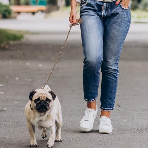 Mile High Life Dog Leash Braided Cotton Rope with Leather-Reinforced Ends - color: Camel, size: 48 Inch-1/3"