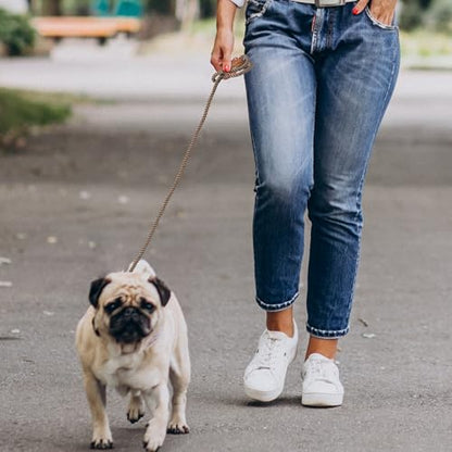 Mile High Life Dog Leash Braided Cotton Rope with Leather-Reinforced Ends - color: Camel, size: 48 Inch-1/3"