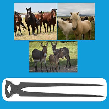 12" Hoof Cutting Nipper, Professional Stainless Steel Farrier Tool for Horse Hoof Trimming and Care - style: Cutting Nipper 12"