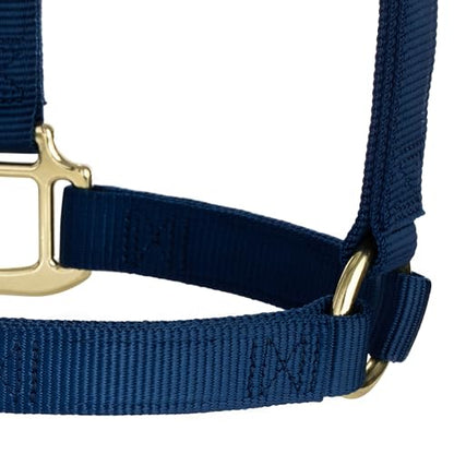 Weaver Leather Supply Original Non-Adjustable Nylon Horse Halter, Average, Navy