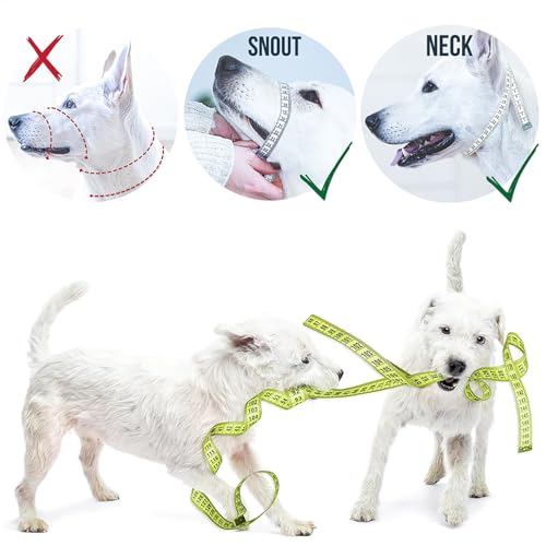 GoodBoy Dog Head Halter with Safety Strap - Stops Heavy Pulling On The Leash - Padded Headcollar for Small Medium and Large Dog Sizes - Head Collar Training Guide Included (Size 1, Pink) - color: Black Nylon / Pink Padding, size: Size 1