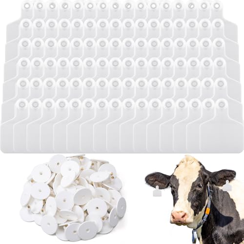 Lothee 200 Pcs Blank Cattle Ear Tags Large Plastic Animal Cow Tags, White - color: White