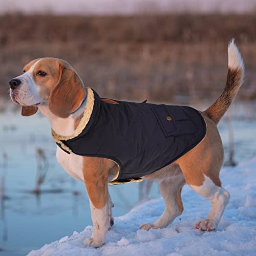 Queenmore Warm Puffer Dog Jacket Thick Plush Quilting Small Winter Coat - color: Dark Navy, size: Small
