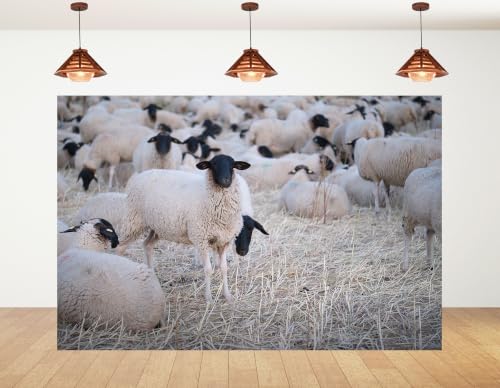 8x6ft Fabric Black Face Sheep Herd Backdrop Flock of Wool Sheep On Dry Grass Field Photography Background Tapestry Party Farm Animal Decorations Photo Booth Props - size: 8x6ft