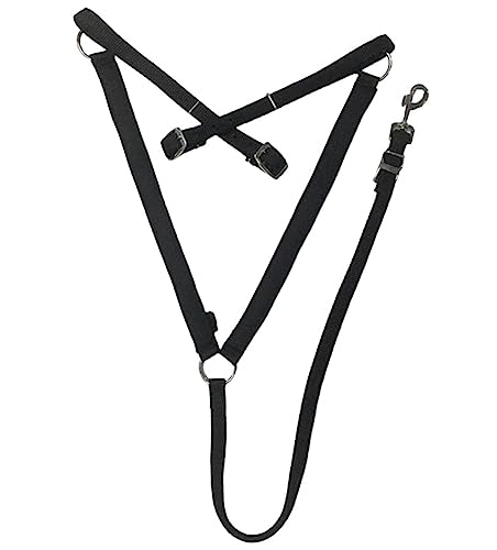 Majestic Ally Nylon Padded Equestrian Browband Headstall, Reins & BreastCollar Set for Horse- Full - color: Black