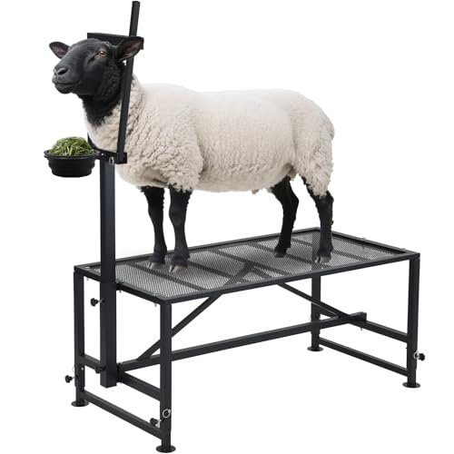 800 LBs Goat Stand with Feed Bin, Adjustable Size Goat Milking Stand