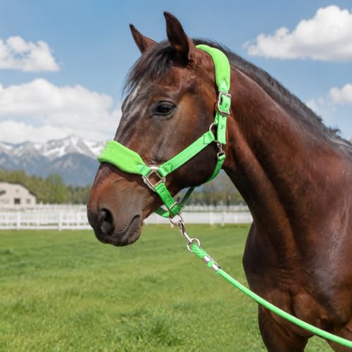 Fleece Horse Halter and Lead Rope Set - color: Neon Green, size: PONY