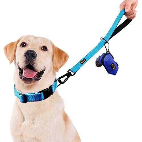 PLUTUS PET Short Training Dog Leash with Padded Handle for Medium Large Big Dogs,18 Inch Heavy Duty Strong Traffic Leash with Carabiner Clip for Climbing Walking or Guiding Blind（18”，Blue | Reflective, Heavy Duty Strong Nylon, Traffic Leash with Carabiner