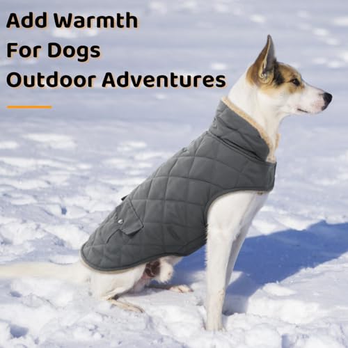 Queenmore Dog Winter Coat, Fleece Jacket, Waterproof Cold Weather Clothes - color: Grey, size: X-Small