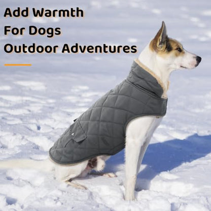 Queenmore Dog Winter Coat, Fleece Jacket, Waterproof Cold Weather Clothes - color: Grey, size: X-Small