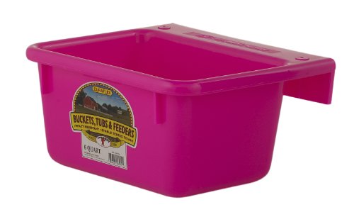 Little Giant® Plastic Mini Feeder | Fence Feeder | Goat Feeder | Durable & Mountable Bucket for Livestock | Made in USA | 6 Quart | Hot Pink