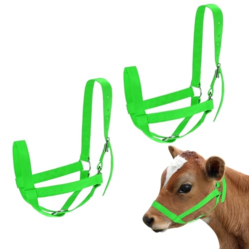 M METERXITY 2-Pack Adjustable Cattle Cow Calf Halter, 19.68"-23.62" Nylon Livestock Cow Halter for Miniature Horse/Donkey/Goat/Cattle [Green]