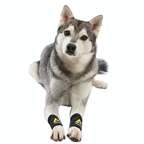 AGON® Pair Dog Canine Front Leg Brace Paw Compression Wraps with Protects Wounds Brace Heals and Prevents Injuries and Sprains Helps with Loss of Stability Caused by Arthritis (XX-Small/X-Small) - size: XX-Small/X-Small