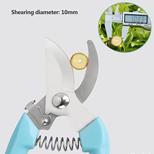 Premium Garden Shears, Pruning Scissors Gardening Tools, Pruners For Flower, Bushes, Rose And Fruit Tree, Use For Florist, Yard And Orchard the Plant Clippers, Sharp White Steel Anvil Snips - style: Blue