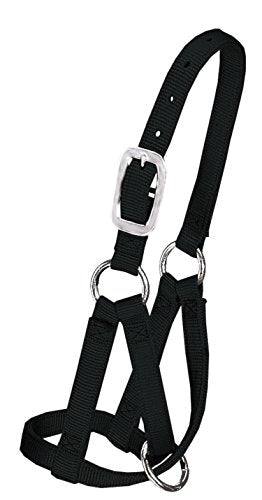Weaver Leather Livestock Llama Halter, Black, Medium