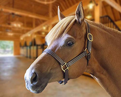 Derby Originals Cambridge Triple Stitched Leather Horse Stable Halter - Multiple Sizes Available