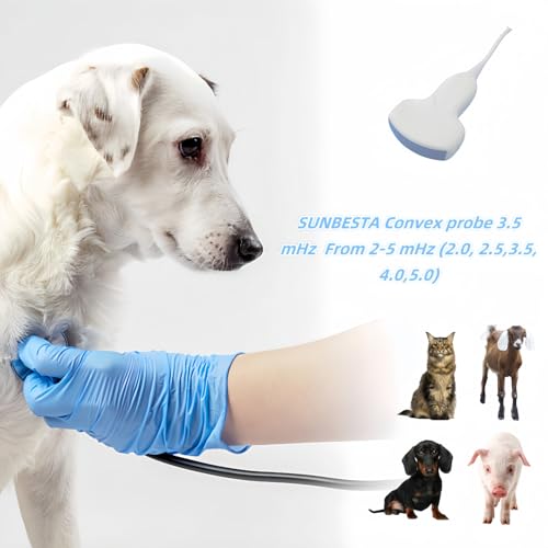 N50 Portable Veterinary Ultrasound Machine for Animal Pregnancy - size: Convex Probe