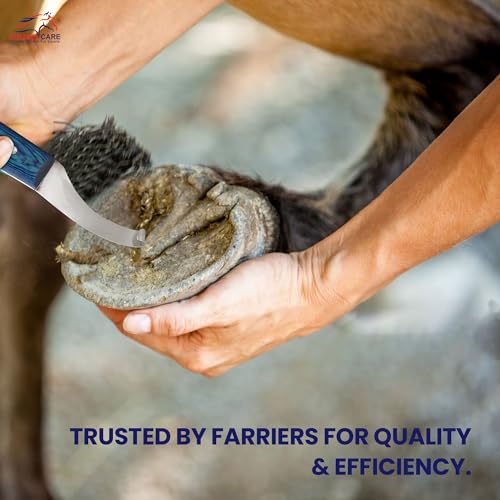 Equine Care Right-Handed Hoof Knife, J2 Stainless Steel, Farrier Tool