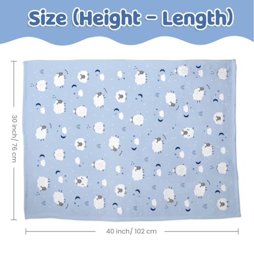 SANDJEST Sheep Minky Blanket 30 x 40 Inches, Gift for Christmas Birthday - color: Sheep