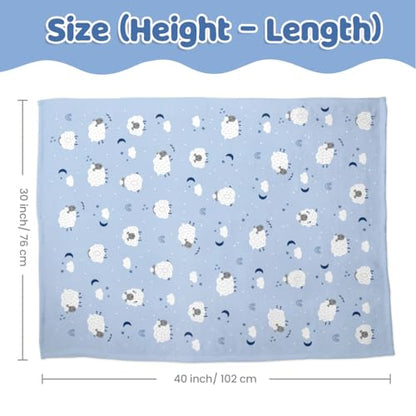 SANDJEST Sheep Minky Blanket 30 x 40 Inches, Gift for Christmas Birthday - color: Sheep