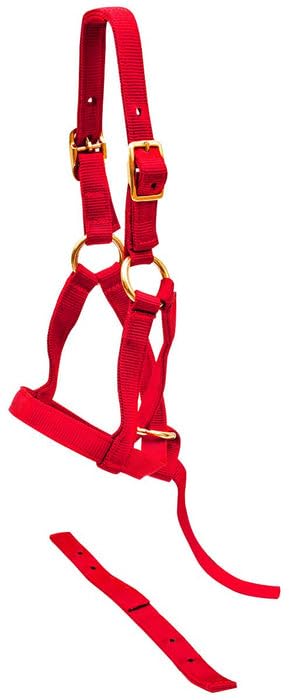 Jeffers Equine Nylon Weanling Halter for Miniature Horses – Adjustable 2 Ply 3/4" Webbing with Brass Plated Hardware, Double Crown Design, Lightweight for Training, Grooming, & Farm Use - Red - color: Red