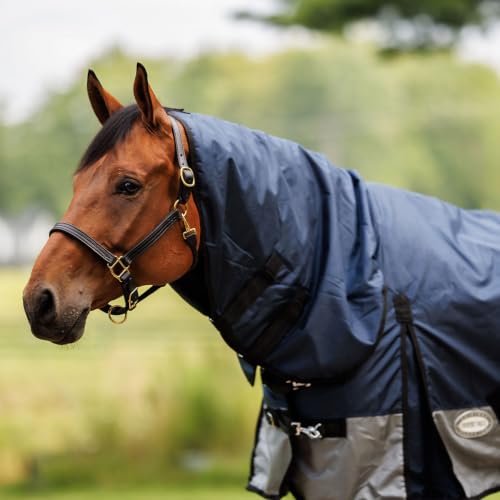 Country Pride Gale Force Full Neck Turnout Blanket, 1680D Waterproof Blanket, 100g Insulation, Lightweight Adjustable Double Buckle Front, Bias Surcingle, Shoulder Gussets,Navy and Grey (84) - size: 84