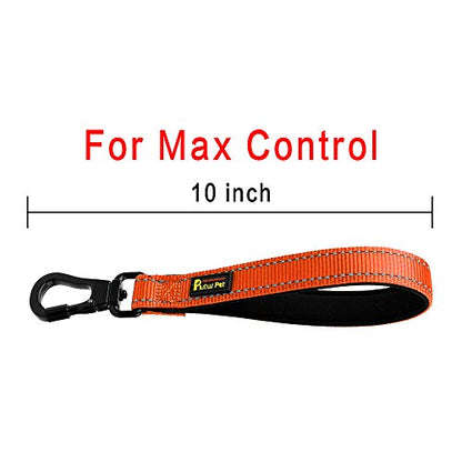 PLUTUS PET 10” Short Dog Leash, Reflective Nylon Padded Handle, Strong Traffic Leash with Carabiner Clip, Perfect for Large or Medium Dogs（10”，Orange | Reflective, Heavy Duty Strong Nylon, Traffic Leash with Carabiner Clip for Training Walking (10", Orang