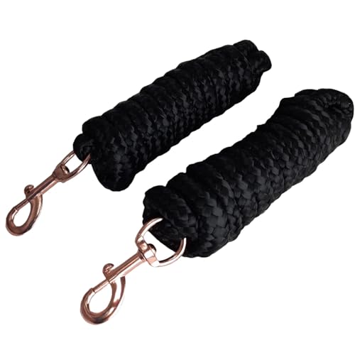 Derby Originals Set of 2 Braided Poly Lead Ropes 1" x 10' with Desert Rose Snap