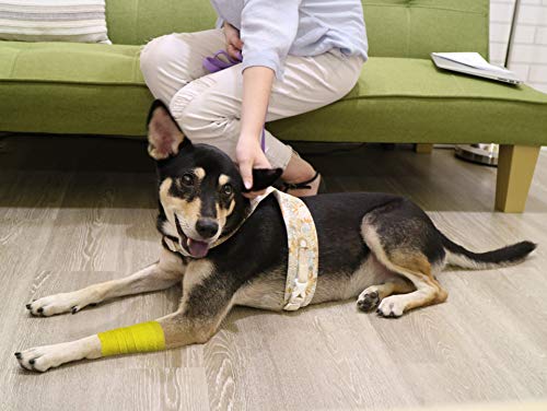 FRESINIDER 9 Rolls Self Adhesive Wrap Athletic Tape Gauze, Breathable Elastic Cohesive Bandage for Sports Injury & Pet (7 Pcs 2" x 5 Yards + 2 Pcs 1" X 5 Yards) (Yellow) - color: Yellow