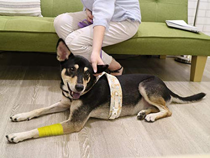 FRESINIDER 9 Rolls Self Adhesive Wrap Athletic Tape Gauze, Breathable Elastic Cohesive Bandage for Sports Injury & Pet (7 Pcs 2" x 5 Yards + 2 Pcs 1" X 5 Yards) (Yellow) - color: Yellow