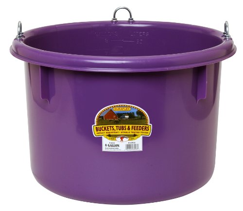 Little Giant® Plastic Round Feeder | Feed Bucket for Livestock | Ultra Durable Round Plastic Bucket | Made in USA | 8 Gallon | Purple - color: Purple