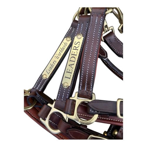 Leaders Premium Padded Leather Horse Halter - Exclusive Pre-Oiled Aniline Leather with Lacquered Solid Brass Hardware & Machined Structural Rings - size: Cob Size with Name Plate