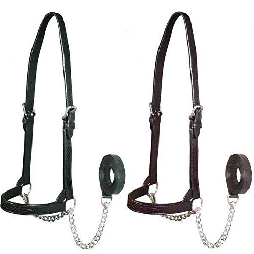 Derby Originals Premium Fancy Stitch Flat Leather Cattle Show Halter – Adjustable Fit with 48" Lead and 14" Chain, Small/Medium/Large – 1-Year Warranty - color: Havana, size: Large (950lbs-1500lbs)