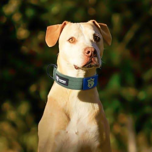 TSPRO Heavy Duty Tactical Dog Collar Quick Release Metal Buckle with Patch - color: Basic Green - Patch Style, size: L, Patch Style, Neck 18.5"–25"