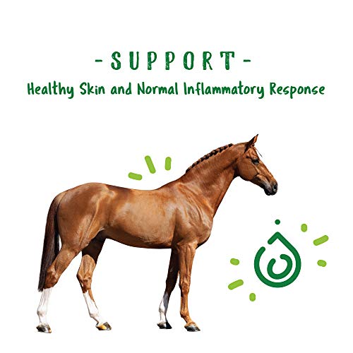 Manna Pro Nature’s Force Bug Clear Horse Supplement, Horse Care, Natural Insect & Fly Defense, Supports Skin & Coat Health, NASC Quality Seal, 2 lb Bucket