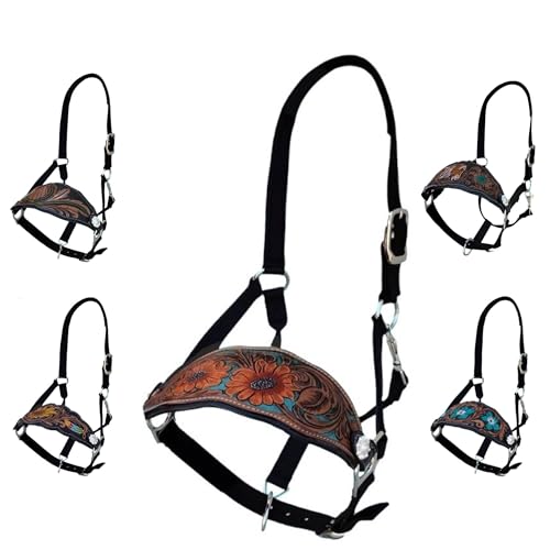 Majestic Ally Equestrian Designer Bronc Halter for Horses, Hand-Tooled Leather Nose, Padded Nylon Crown and Noseband - style: Orange Sunflower
