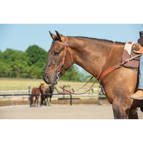 Weaver Leather unisex adult western-equestrian-style Stacy Protack b band, Brown, One Size US