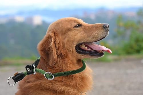 Braided Round Martingale Dog Collar, Training Collar with Slidable Stop Ring and Adjustable Stopper - Ideal for Large Dogs (L(1/2") - 20" Long, Dark Green) - color: Dark Green, size: L(1/2") - 20" Long with stopper